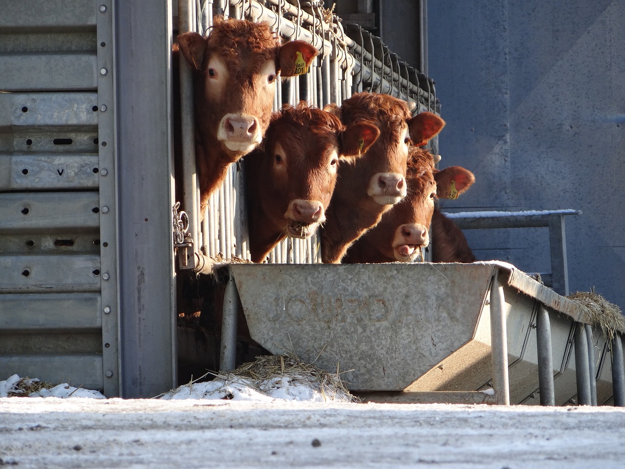 Branchen-Agrartechnik